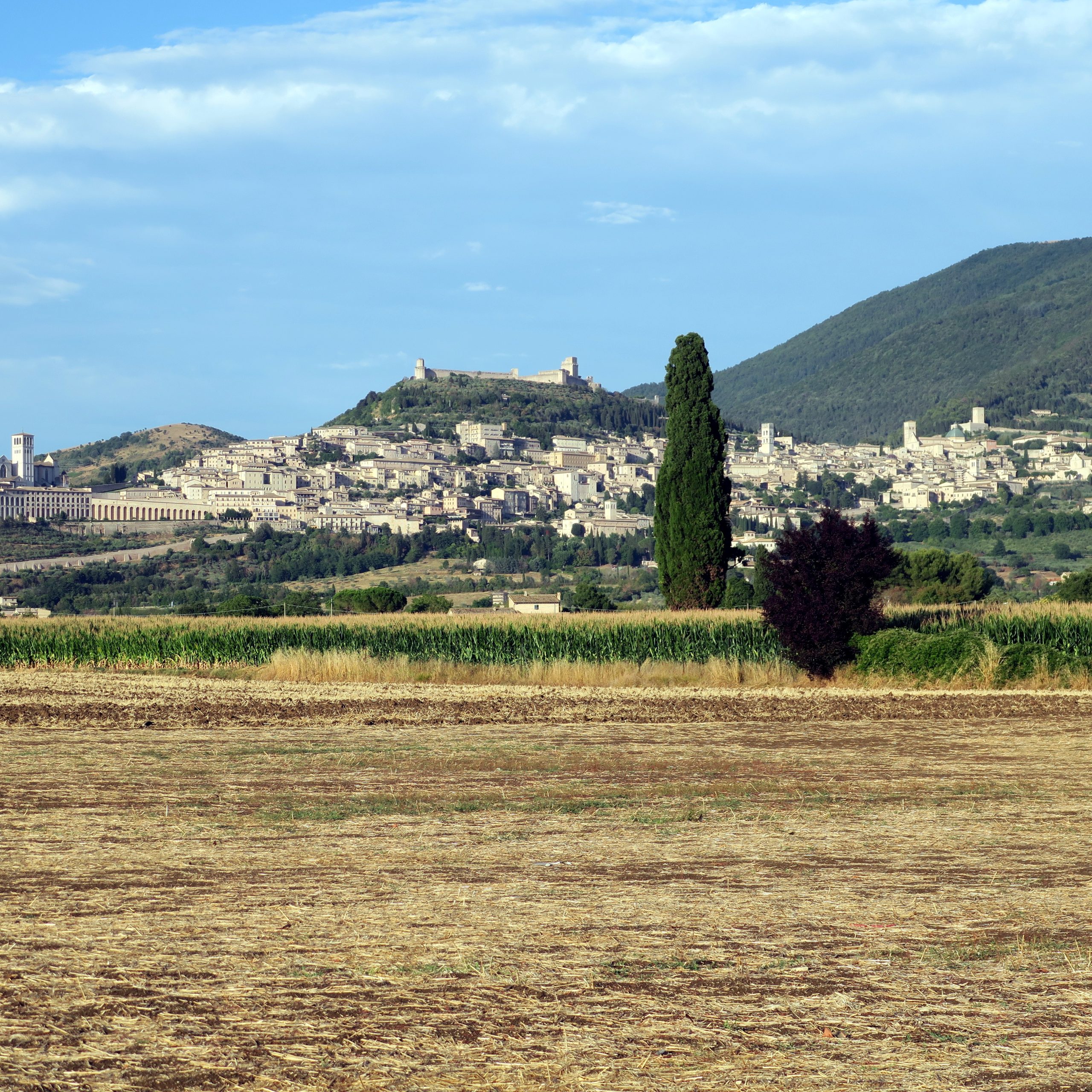Extension Day 10 - Journey to Assisi
